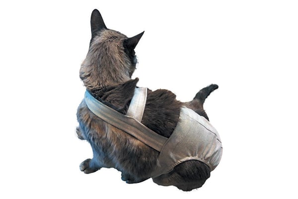 Dia-purr.
