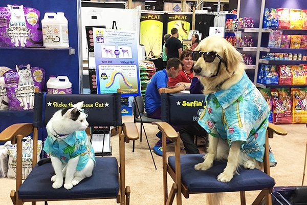 Ricky the Rescue Cat and his canine buddy, Surfin’ Jack. Photography courtesy Annie Butler Shirreffs.