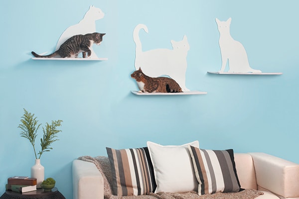 Cats on cat shelves above a couch.