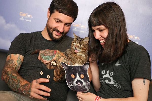 Enjoy a meet-and-greet with cat-lebrities like Lil BUB.