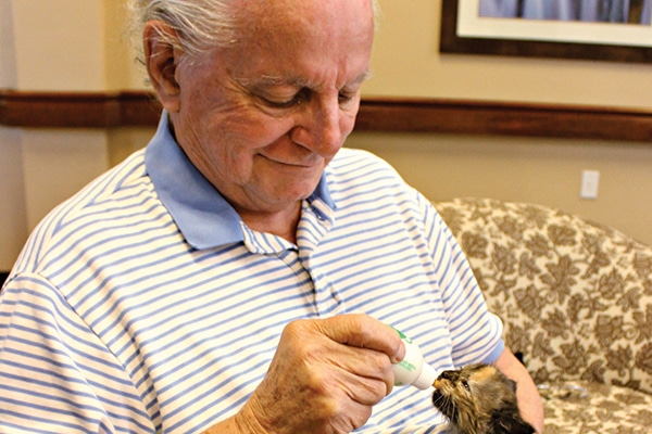 Nursing homes with cats.
