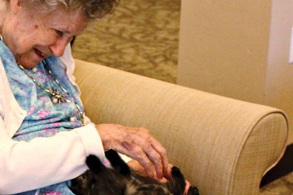 Nursing home with cats.