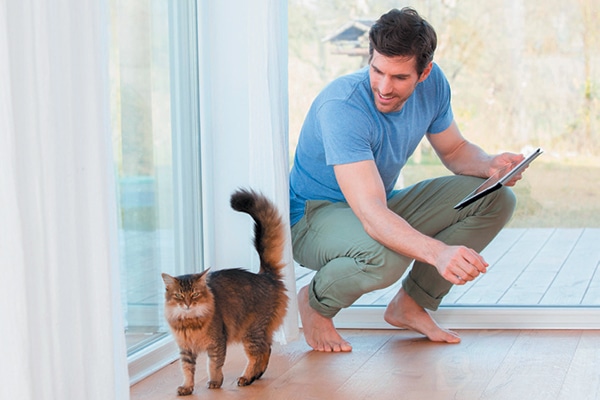 A cat guy or cat daddy with a fluffy brown cat.