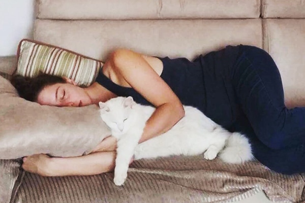 International catsitting.