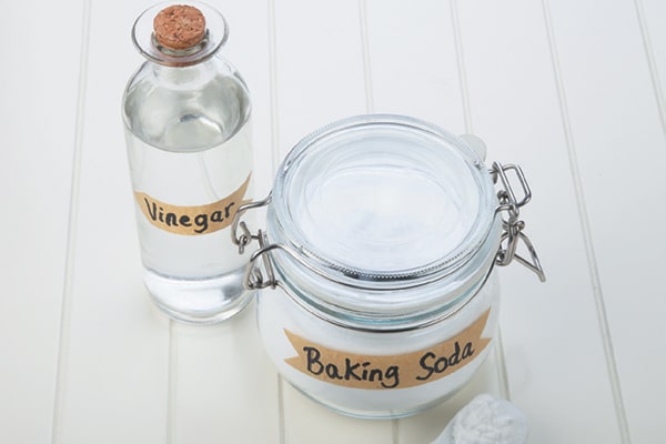 Vinegar and baking soda are alternative cat urine cleaners.