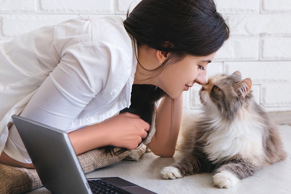 A woman at her computer, kissing a cat.