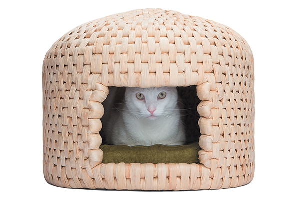 Look for the NekoHut at blinkpet.com.