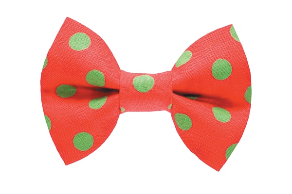 Adorable bow ties and collars at sweetpicklesdesigns.com.