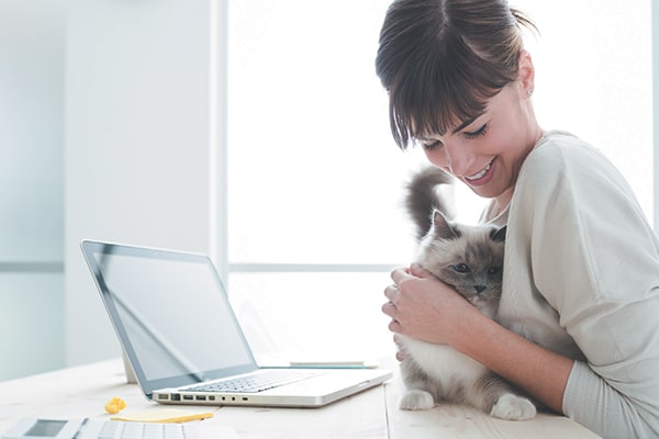 A woman on her computer, hugging a cat.