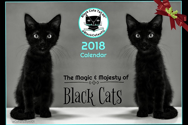 Black Cats Tell All calendar.