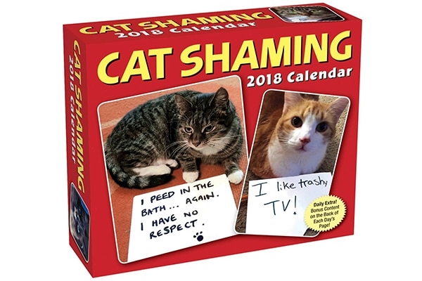Cat Shaming 2018 Day-to-Day Calendar