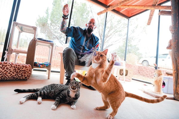 Cat guy Jackson Galaxy with some feline friends.