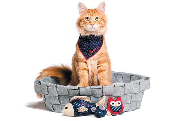 Ellen DeGeneres and PetSmart products