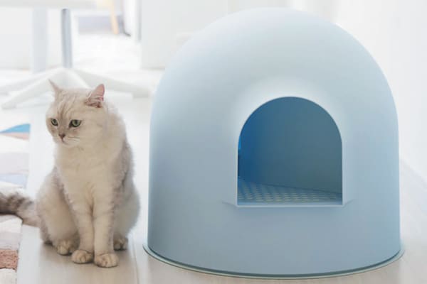 Igloo Box.