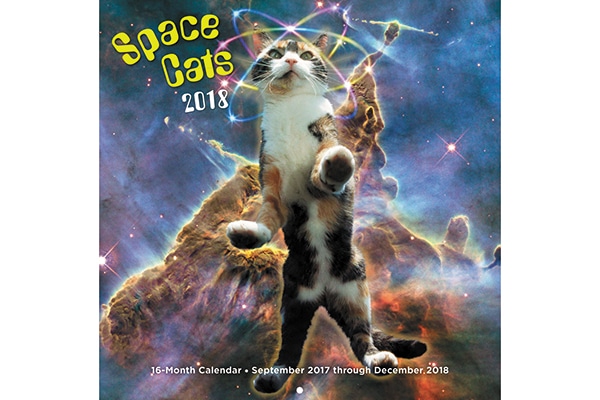 Cats In Space calendar.
