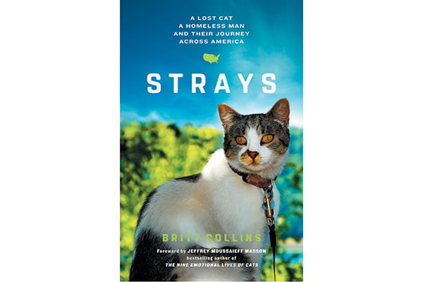 Strays book.