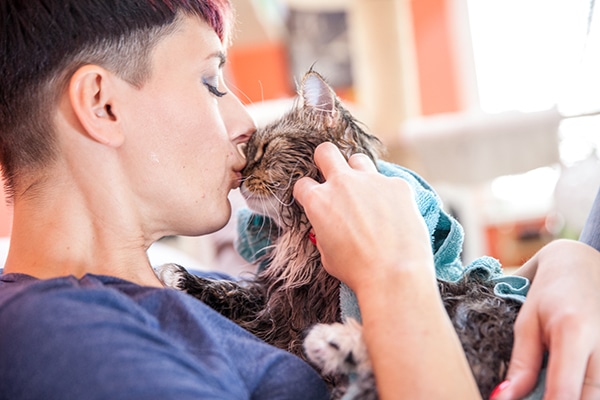 A wet cat kissing and rubbing faces with a woman.