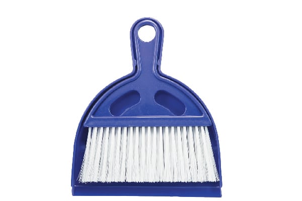 Litter sweep and pan.