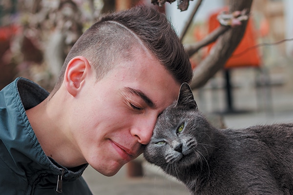 A cat man getting a head rub from a gray cat.