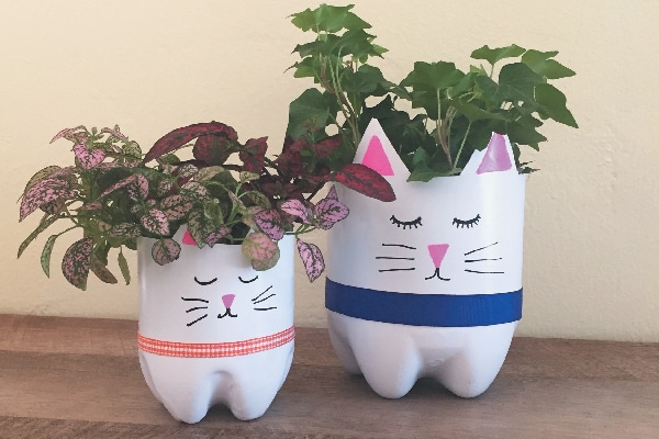 diy recycled bottle cat