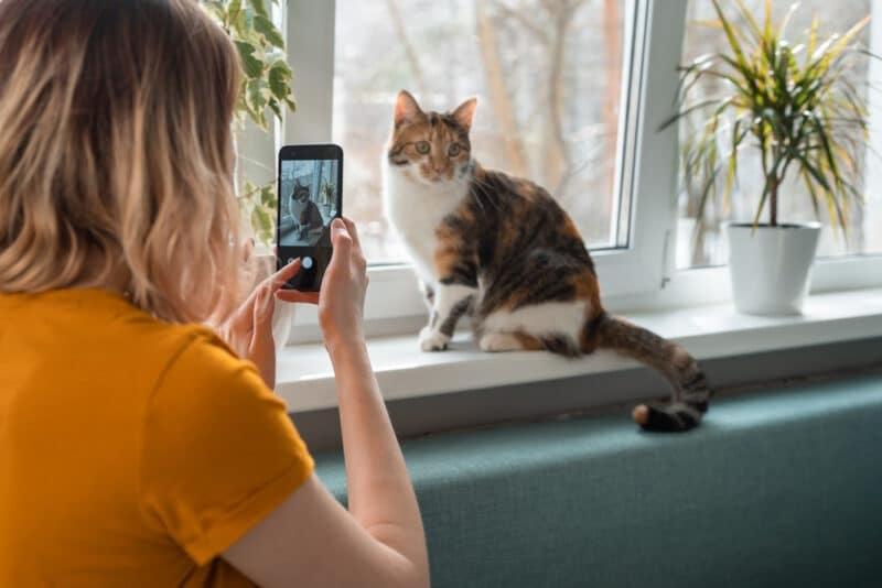 woman taking video of her cat