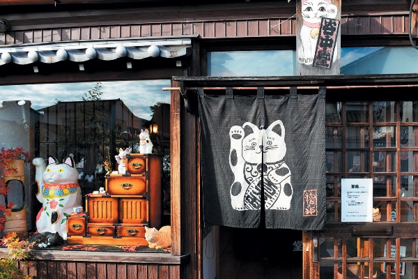 Cat cafe in Japan.