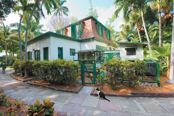 The two most famous groups of polydactyl cats are the Welsh Cardi cats and the cats who live on the Ernest Hemingway Home and Museum property in Key West.