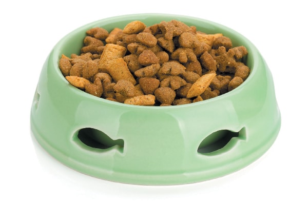 A bowl filled with cat food. 