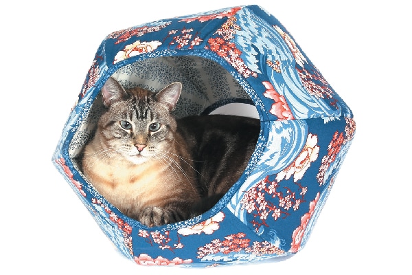 Cat in a colorful cat bed.