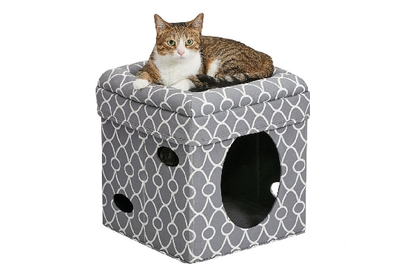 Condo cat beds.