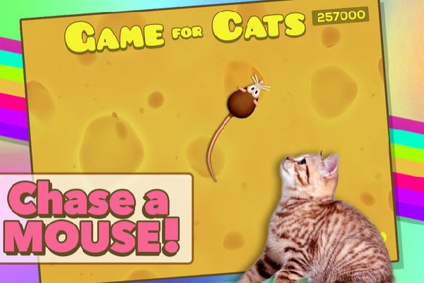 Game for Cats, Little Hiccup, LLC. itunes.com