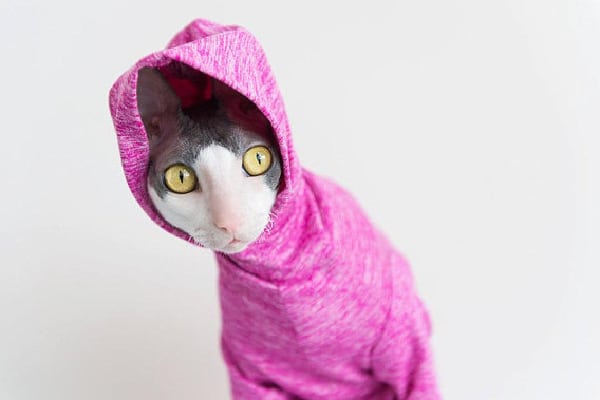 Cat Clothes Pet Sun Protection Heathered Hoodie Long Sleeved, Simply Sphynx ($45). etsy.com/simplysphynx