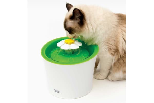 Flower Fountain, Catit. catit.com.