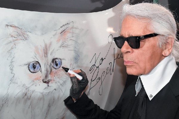 Legendary designer Karl Lagerfeld has never kept his “mews” a secret — Birman kitty Choupette.