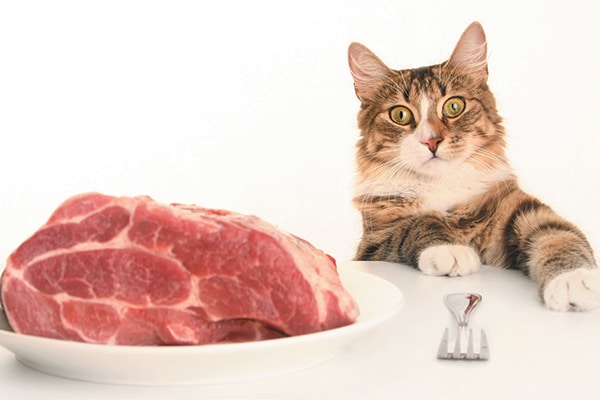 Cat sitting at the table with a piece of raw meat in a bowl.