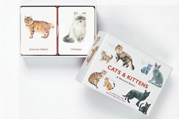 Image result for cats and kittens memory game