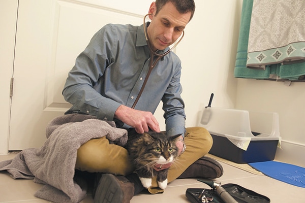 There is now a mobile pet vet that will eliminate the struggle of trying to bring your cat to the vet.