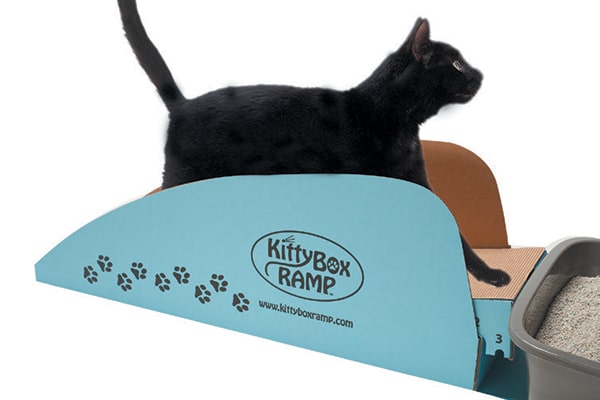Kitty Box Ramp.