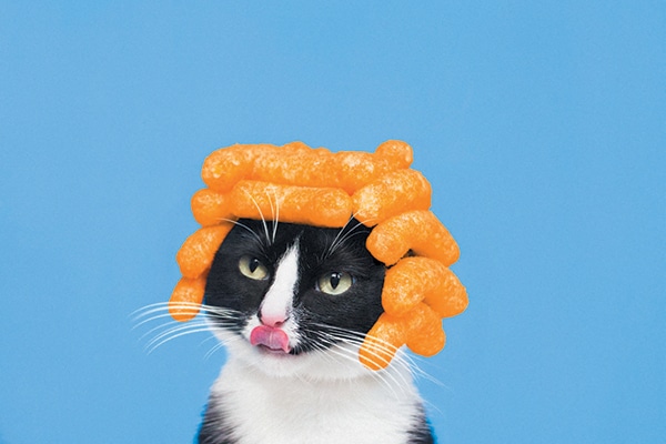 princesscheeto.