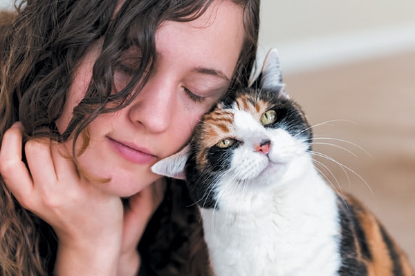 Head butting is just one weird cat behavior you might notice with your cat. Photography ©krblokhin | Getty Images.
