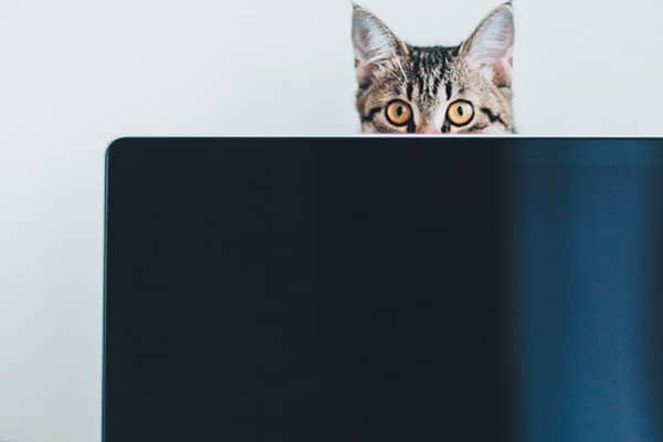 What do you do when suddenly faced with a black computer screen? Photography ©Oleksandr Briagin | Getty.