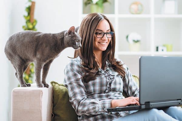 A lot of cat owners go online in search of IT help when their cats put them in a tech crisis. Photography ©Drazen | Getty Images.