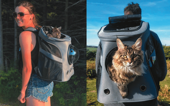 Your Cat Back Pack