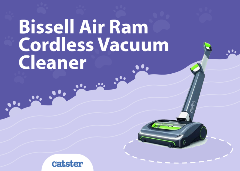 Bissell Air Ram Cordless Vacuum Cleaner