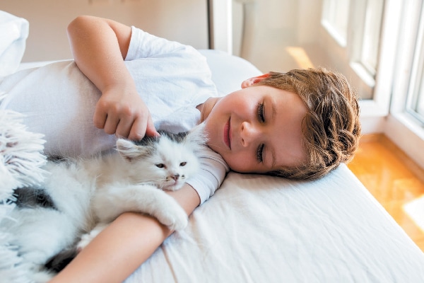 A small boy holding a cat.