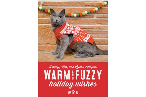 Show Off Your Favorite Feline With Pet Holiday Cards By Minted Show Off Your Favorite Feline With Pet Holiday Cards By Minted