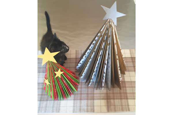 Check out this DIY craft to make your own Christmas Trees.
