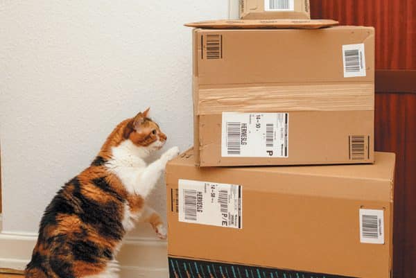 Always look for coupons on manufacturer's websites. Photography ©AdrianHancu| Getty Images.