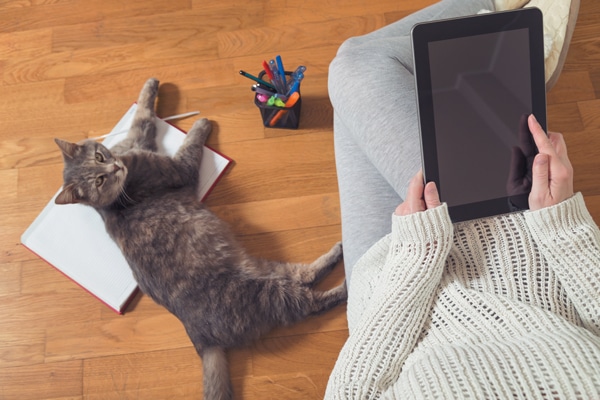 Find out what's so great about online shopping. Photography ©vladans | Getty Images.