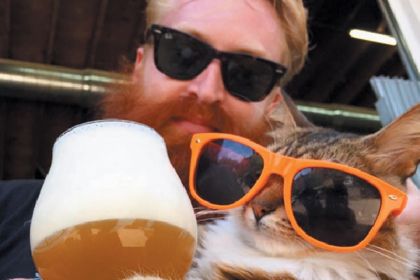 Pipeworks Brewery Cats.